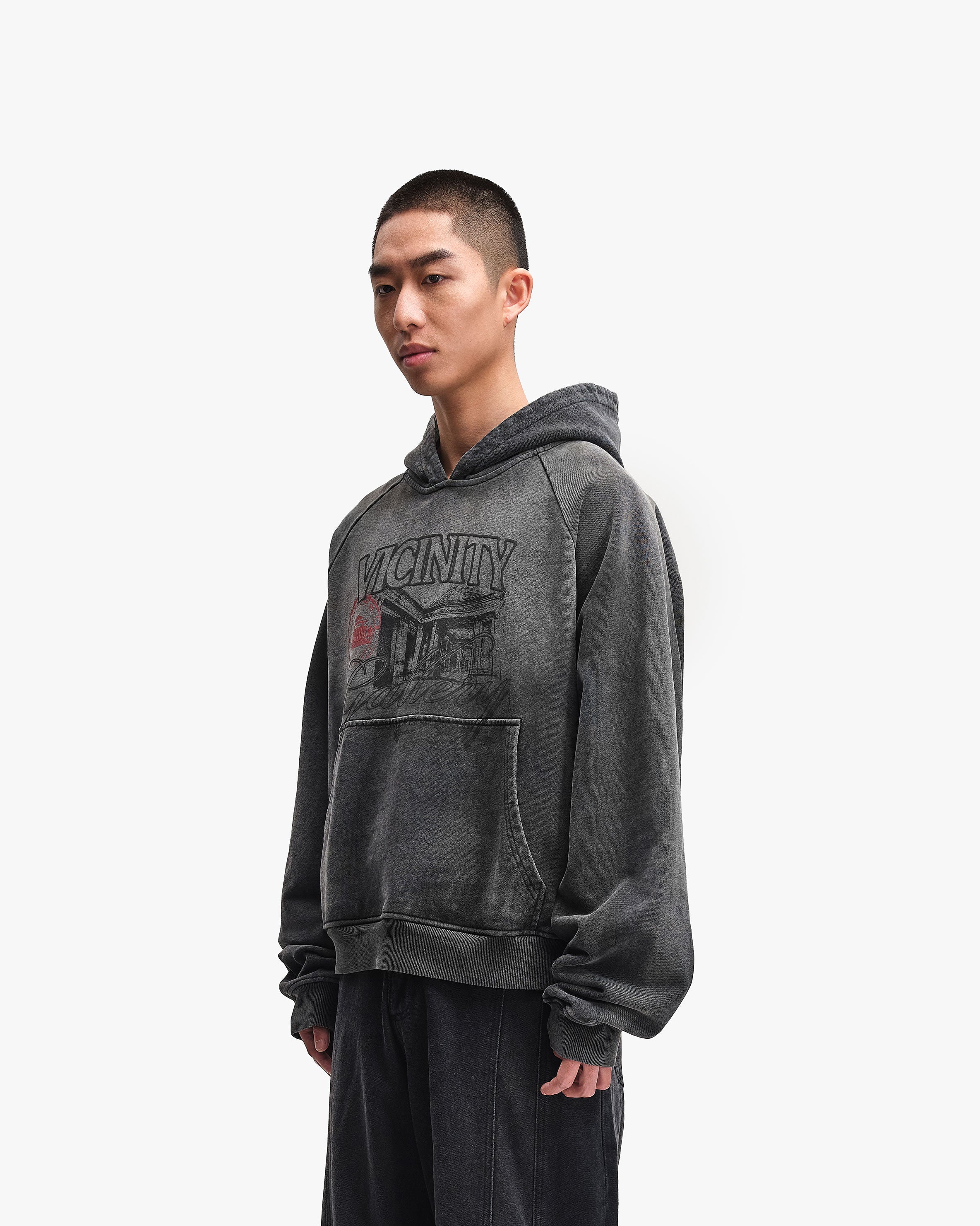 GALLERY HOODIE WASHED GREY - Image 6
