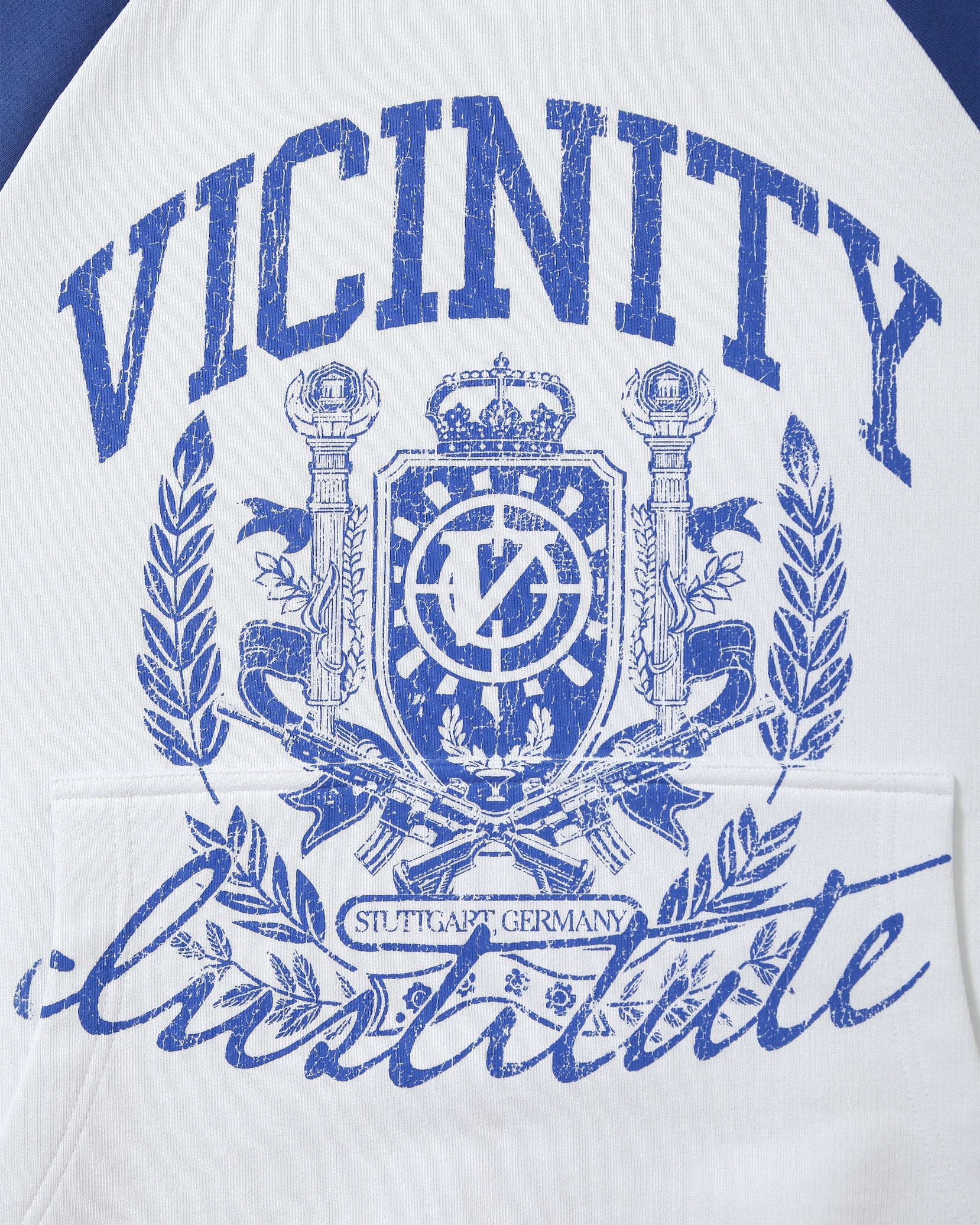 INSTITUTE HOODIE WHITE/BLUE - Image 11