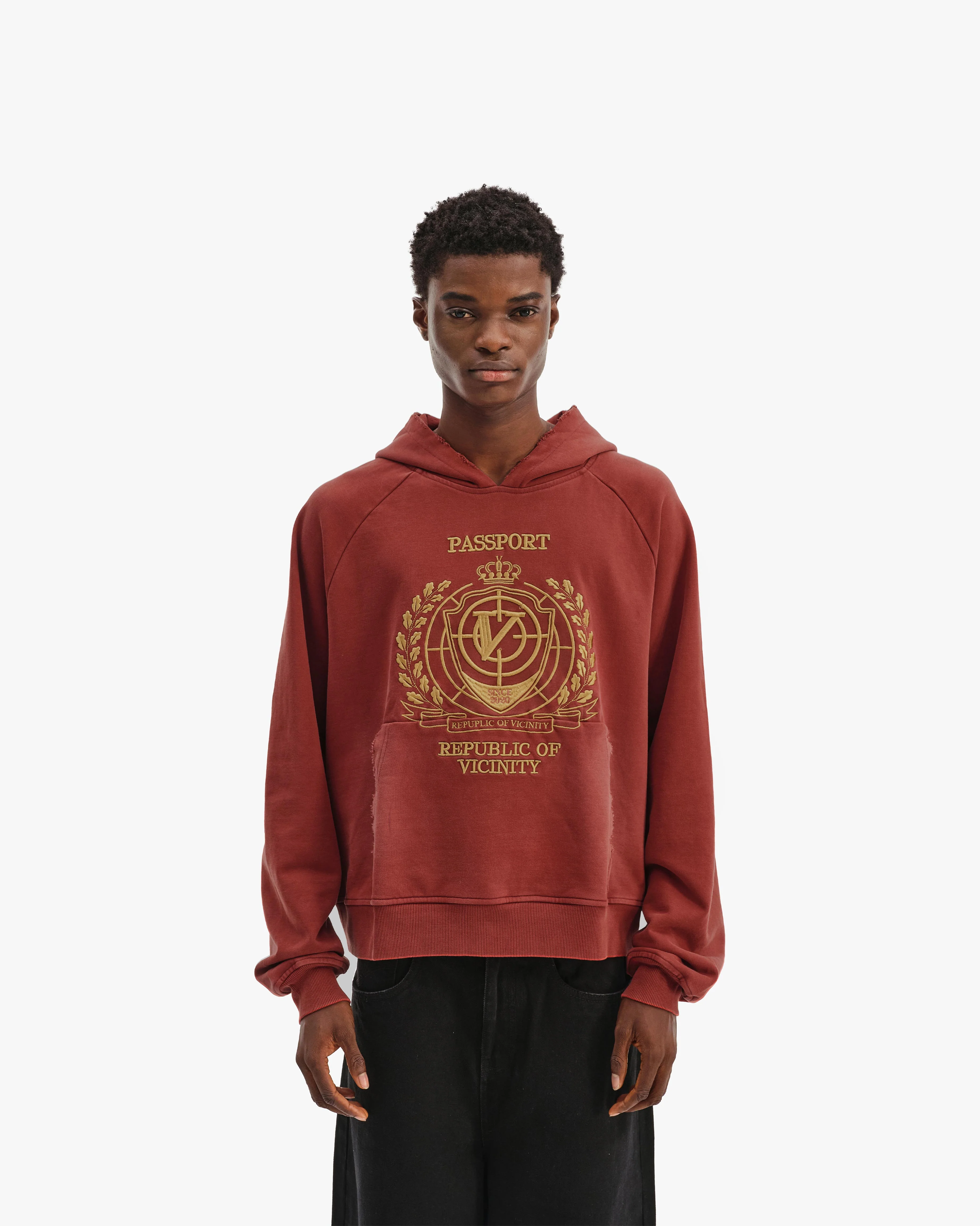 PASSPORT HOODIE WASHED RED - Image 3
