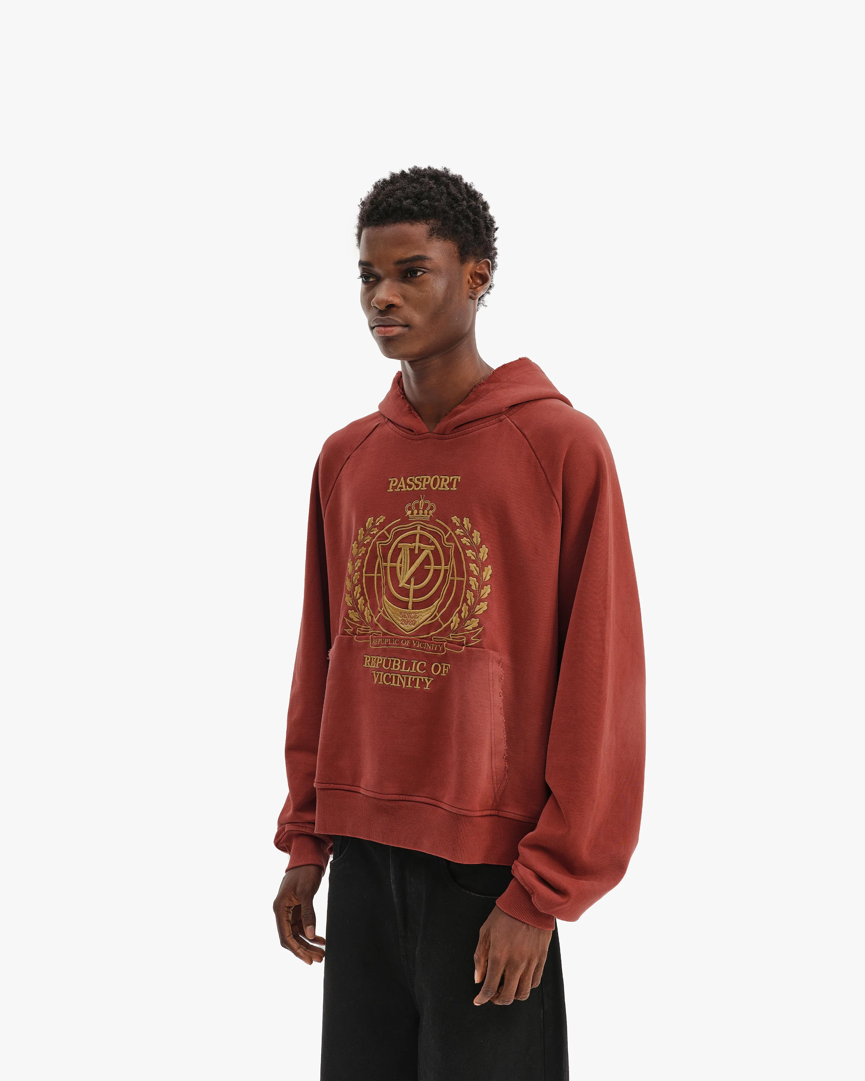 PASSPORT HOODIE WASHED RED - Image 4