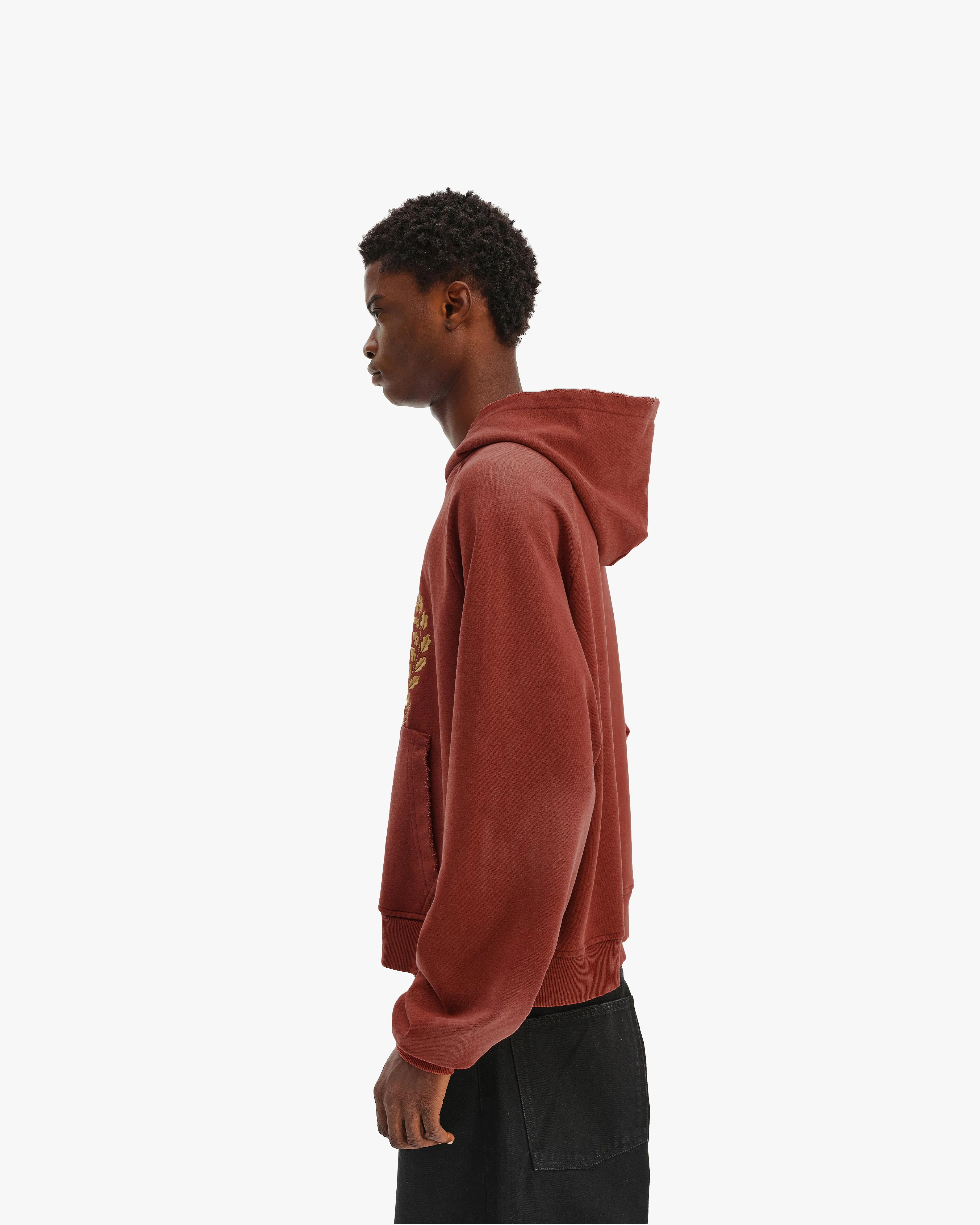 PASSPORT HOODIE WASHED RED - Image 5