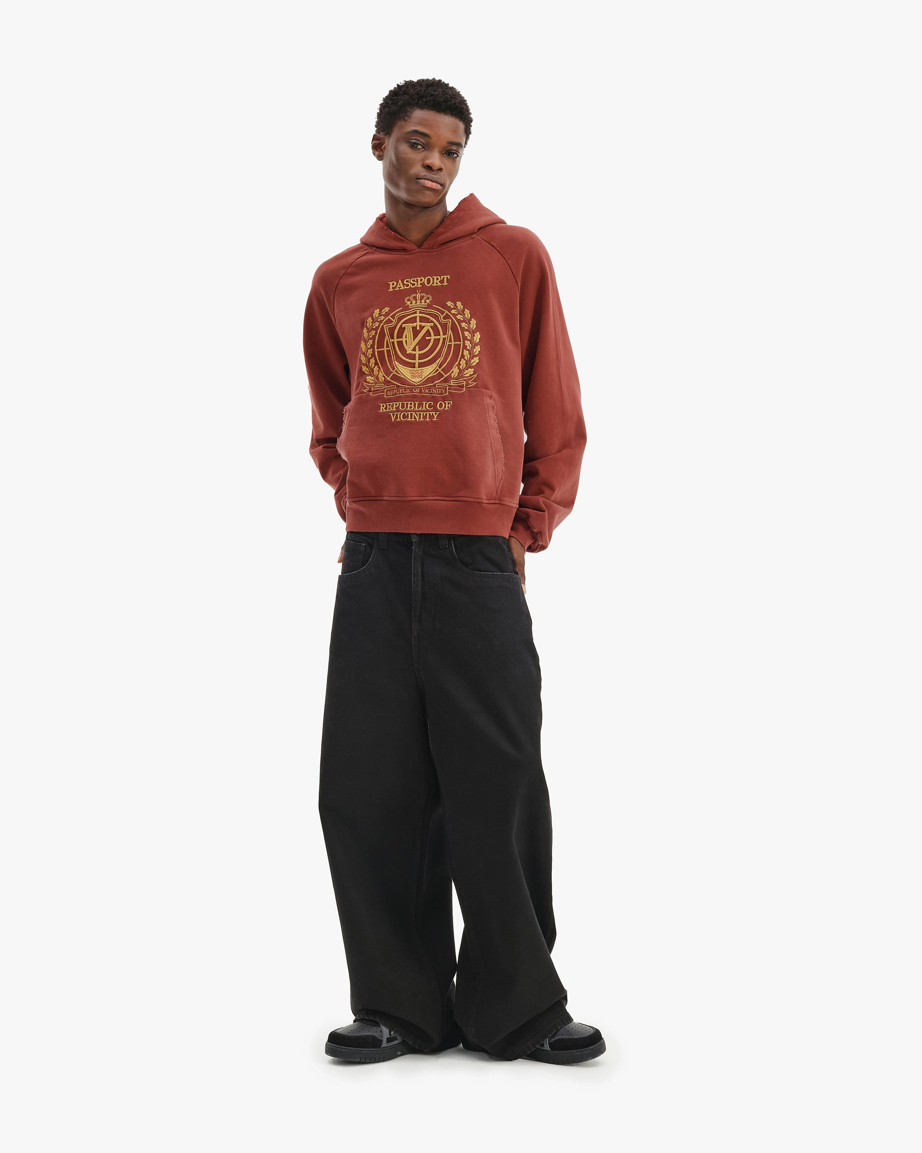 PASSPORT HOODIE WASHED RED - Image 8