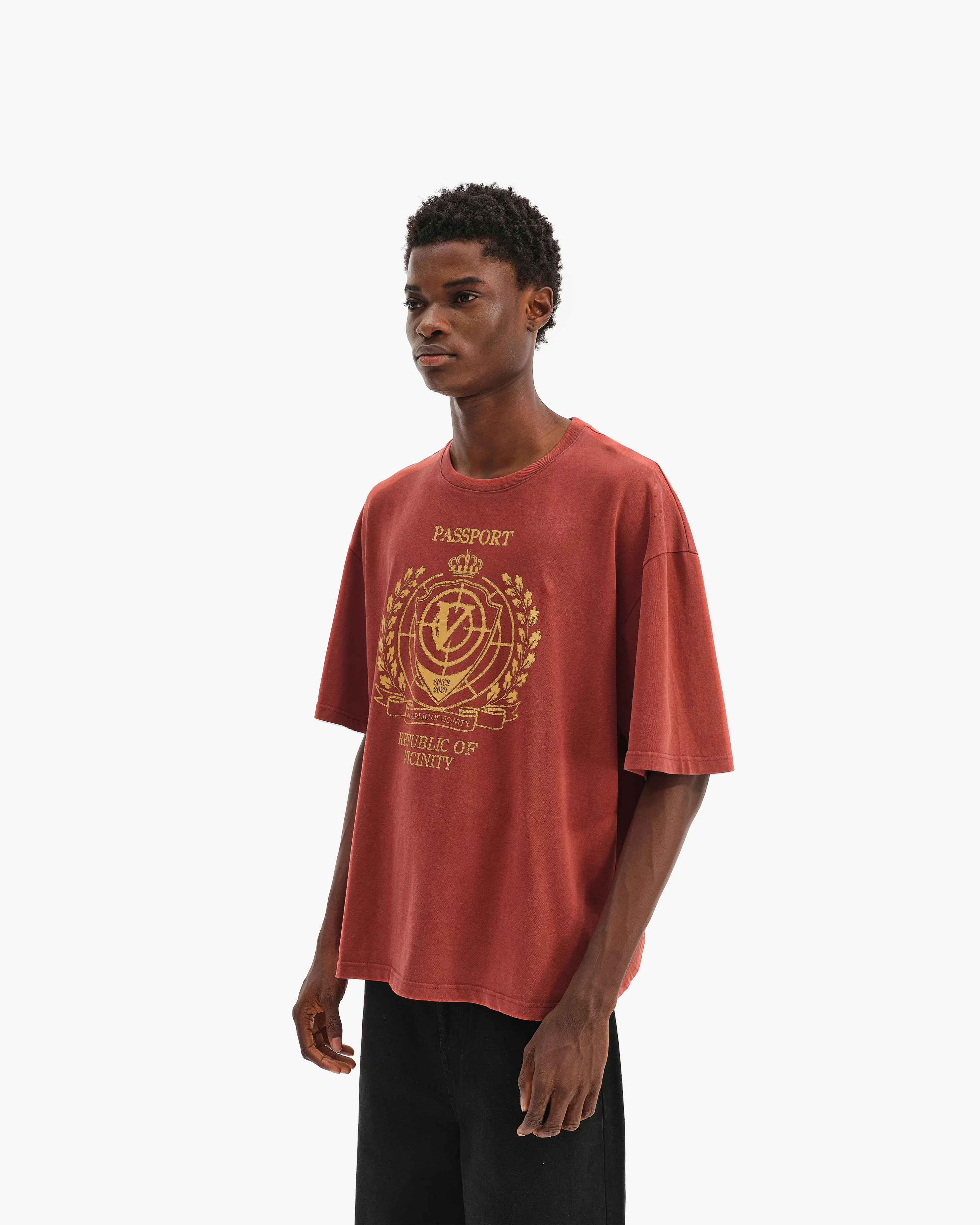 PASSPORT TEE WASHED RED - Image 4
