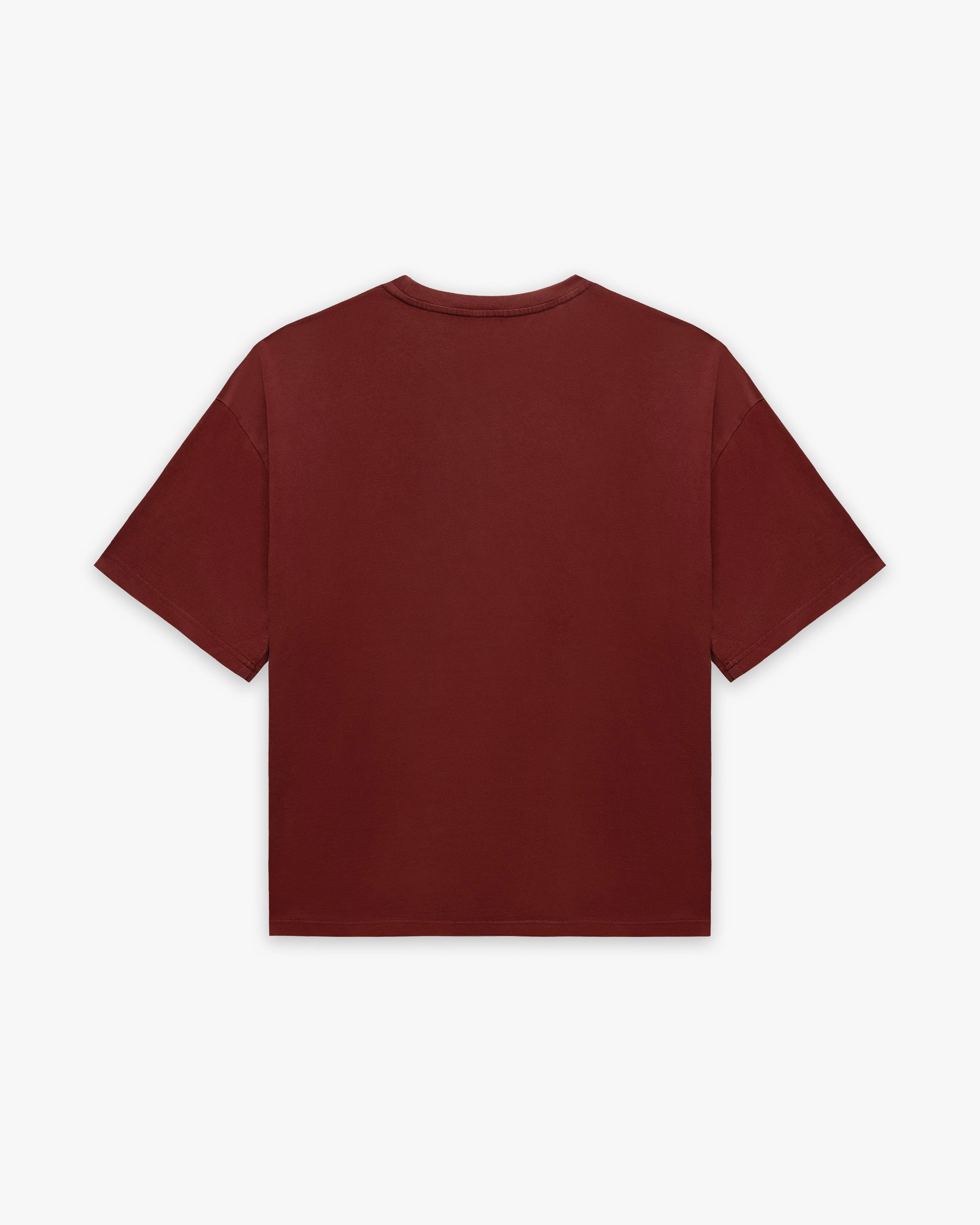 PASSPORT TEE WASHED RED - Image 7